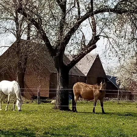 La Pommeraie 度假居