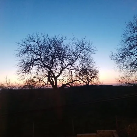 La Pommeraie *